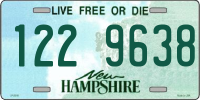 NH license plate 1229638