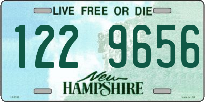 NH license plate 1229656