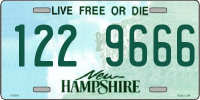 NH license plate 1229666