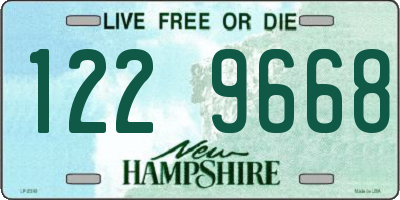 NH license plate 1229668