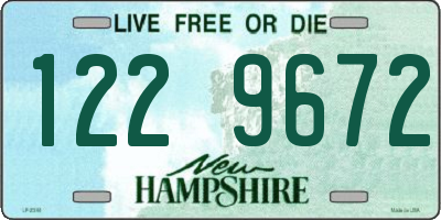 NH license plate 1229672