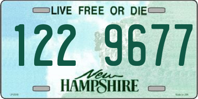 NH license plate 1229677