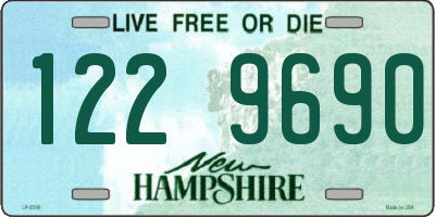 NH license plate 1229690