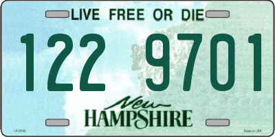 NH license plate 1229701