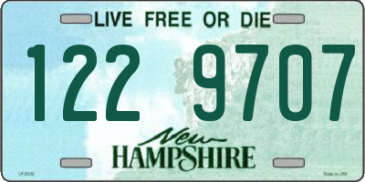 NH license plate 1229707