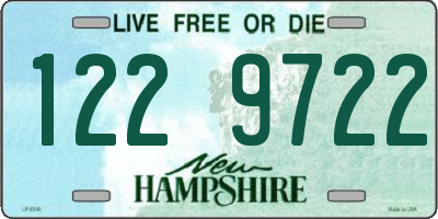 NH license plate 1229722