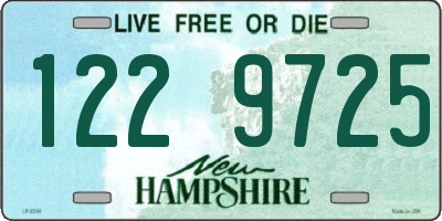 NH license plate 1229725