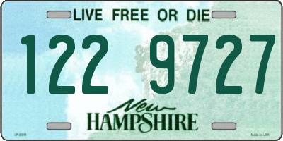 NH license plate 1229727