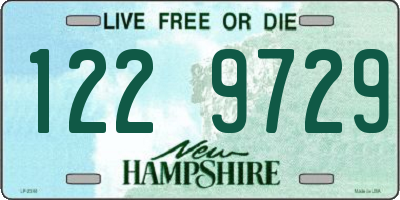 NH license plate 1229729