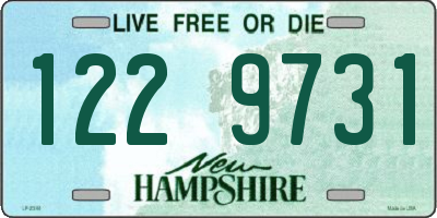 NH license plate 1229731
