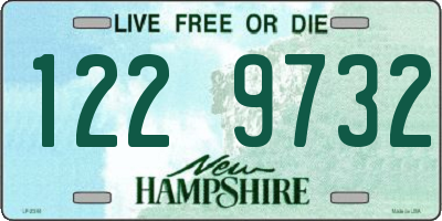 NH license plate 1229732
