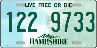 NH license plate 1229733
