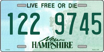 NH license plate 1229745