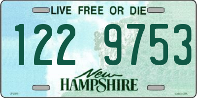 NH license plate 1229753