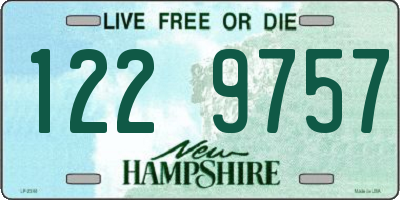 NH license plate 1229757