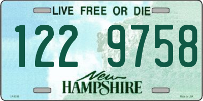 NH license plate 1229758