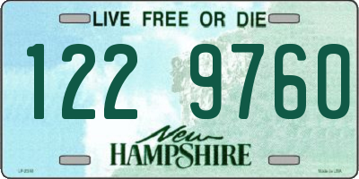NH license plate 1229760