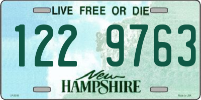 NH license plate 1229763