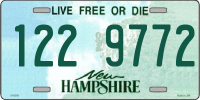 NH license plate 1229772
