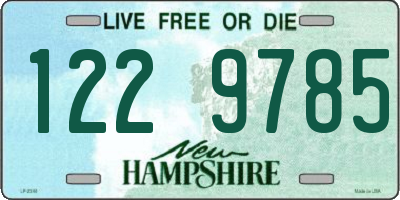 NH license plate 1229785