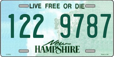 NH license plate 1229787
