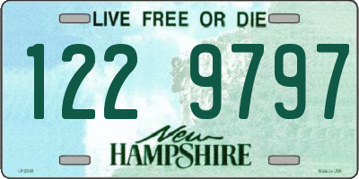 NH license plate 1229797