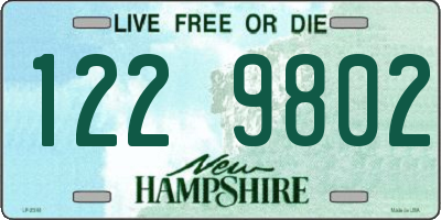 NH license plate 1229802