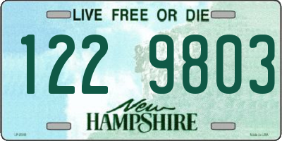 NH license plate 1229803