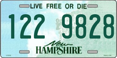 NH license plate 1229828