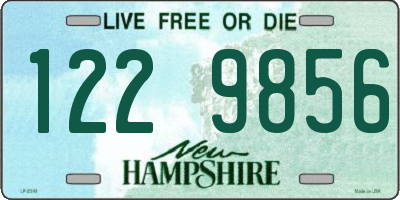 NH license plate 1229856