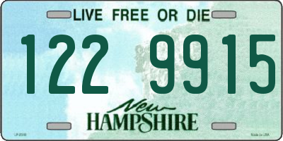 NH license plate 1229915