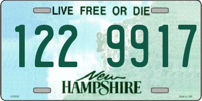 NH license plate 1229917