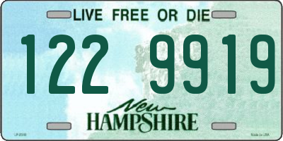NH license plate 1229919