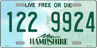 NH license plate 1229924