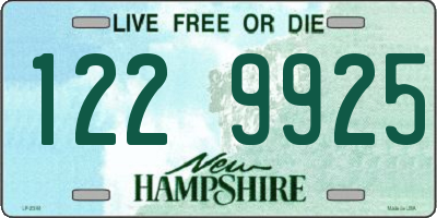 NH license plate 1229925