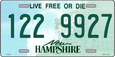 NH license plate 1229927