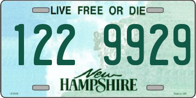 NH license plate 1229929