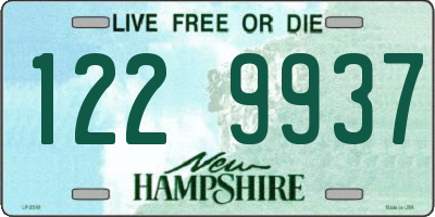 NH license plate 1229937
