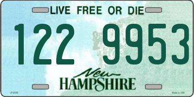 NH license plate 1229953