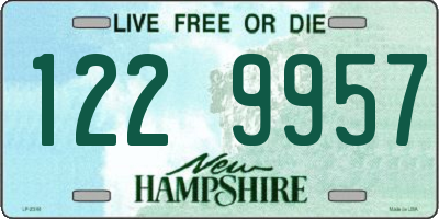 NH license plate 1229957