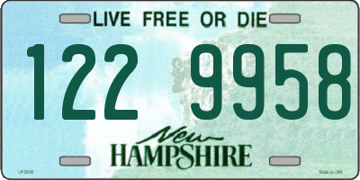 NH license plate 1229958