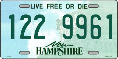 NH license plate 1229961