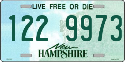 NH license plate 1229973