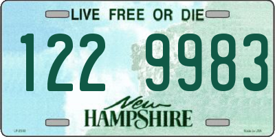 NH license plate 1229983