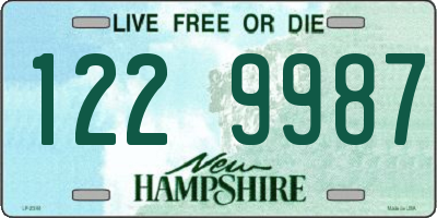 NH license plate 1229987