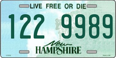 NH license plate 1229989