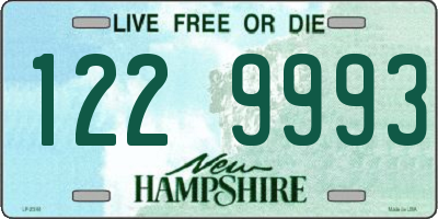 NH license plate 1229993