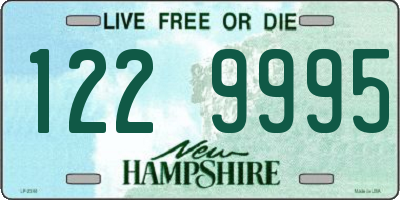 NH license plate 1229995