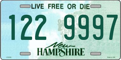NH license plate 1229997