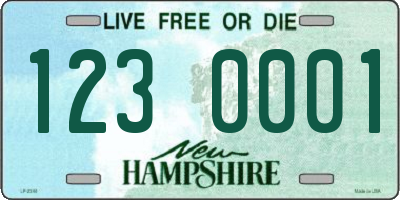 NH license plate 1230001